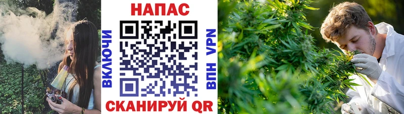 Конопля SATIVA & INDICA  Белёв 